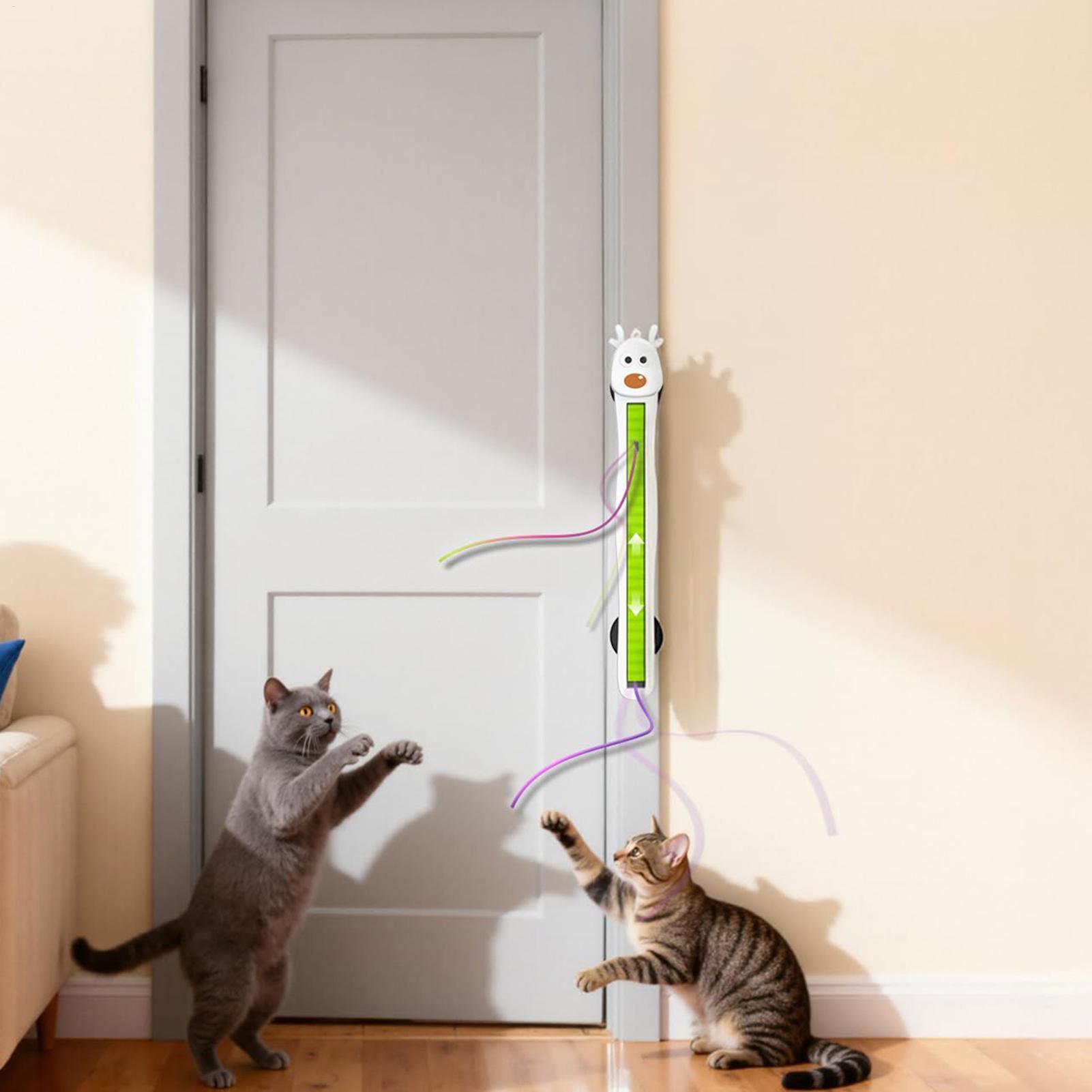 ของเล่นแมวอิเล็กทรอนิกส์แบบติด - Smart Home Utensils บทวิจารณ์และราคา