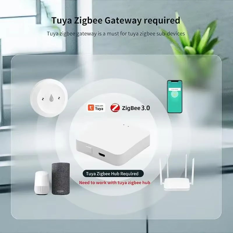 ทูยา ซิกบี 3.0 เครื่องตรวจจับน - Smart Home Project บทวิจารณ์และราคา